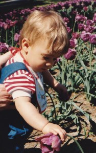 My son touching tulips