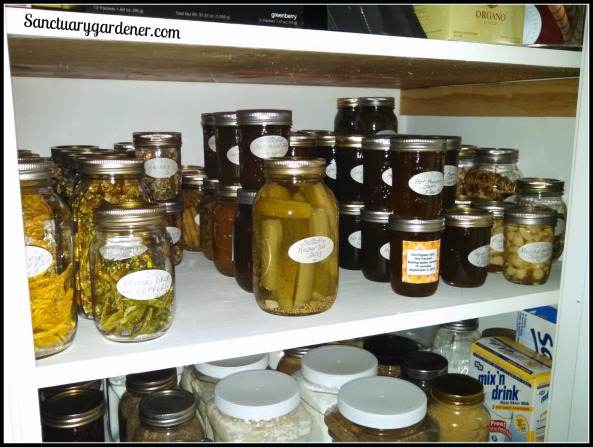 Shelf of my canned goods in my new pantry